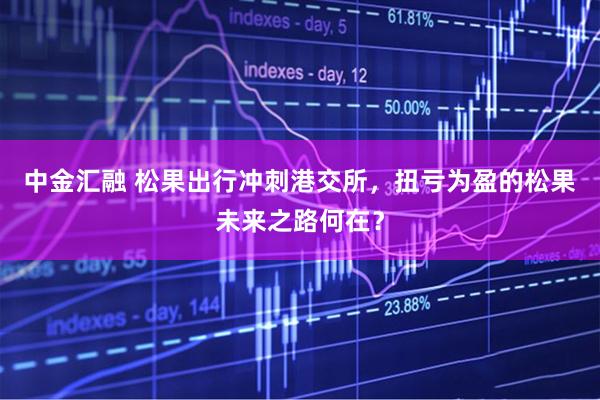 中金汇融 松果出行冲刺港交所，扭亏为盈的松果未来之路何在？