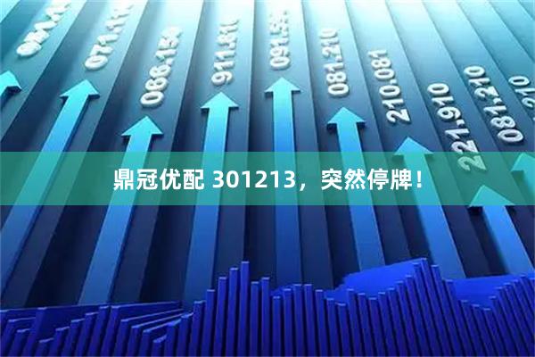 鼎冠优配 301213，突然停牌！